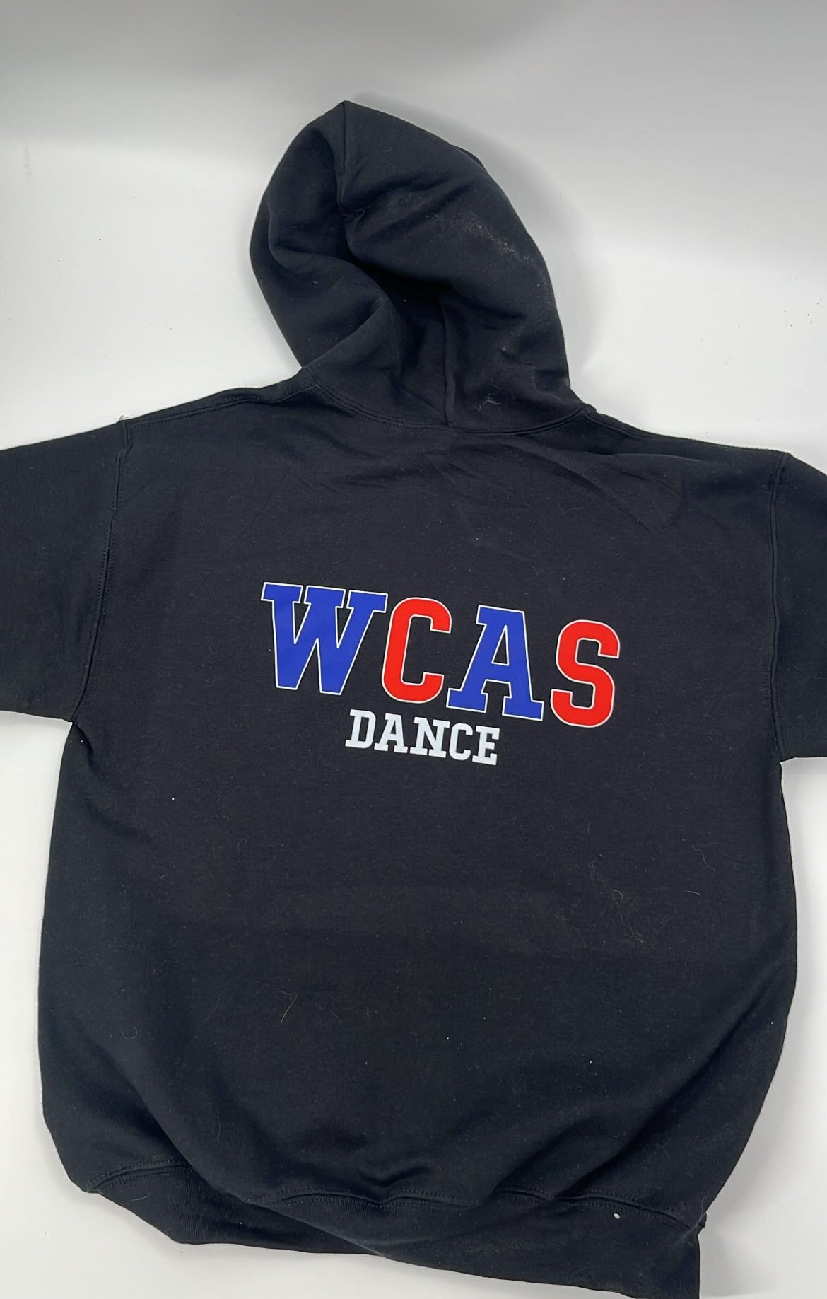 Youth WCAS sweatsuit